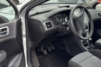 Porte avant gauche PEUGEOT 307