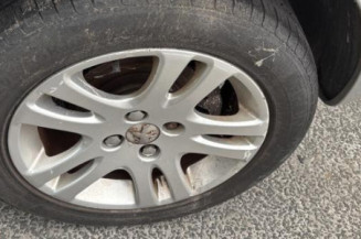 Porte avant gauche PEUGEOT 307
