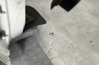 Porte avant droit DACIA DUSTER 1
