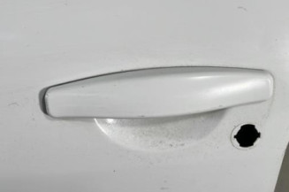 Porte avant gauche DACIA DUSTER 1