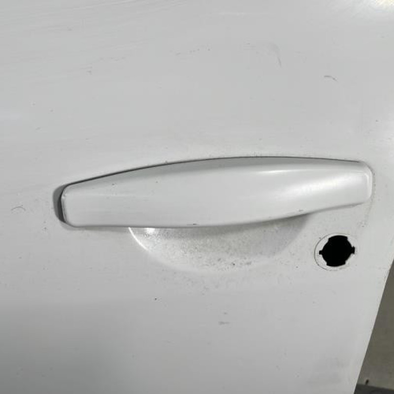 Porte avant gauche DACIA DUSTER 1 Photo n°2