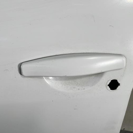Porte avant gauche DACIA DUSTER 1