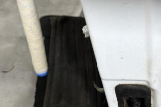 Porte avant gauche DACIA DUSTER 1