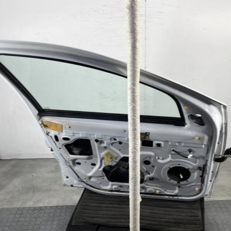 Porte avant gauche DACIA DUSTER 1 Photo n°6