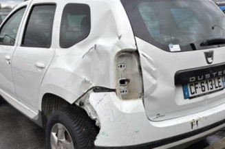 Porte avant gauche DACIA DUSTER 1