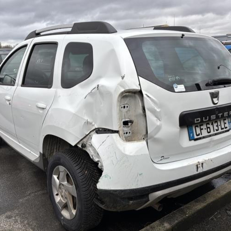 Porte avant gauche DACIA DUSTER 1 Photo n°10