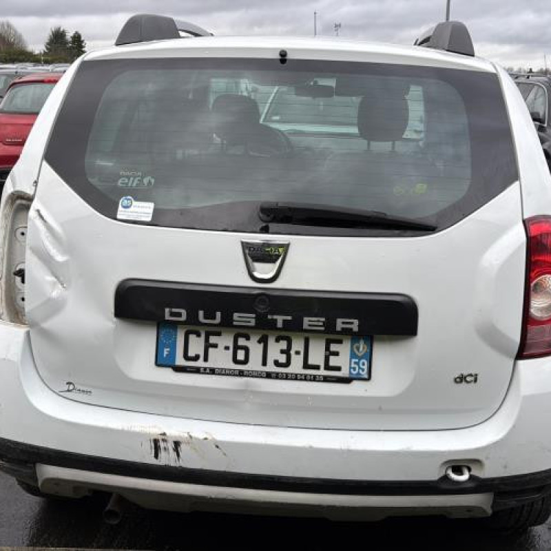 Porte avant gauche DACIA DUSTER 1 Photo n°11