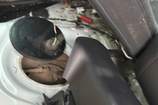 Porte avant gauche DACIA DUSTER 1