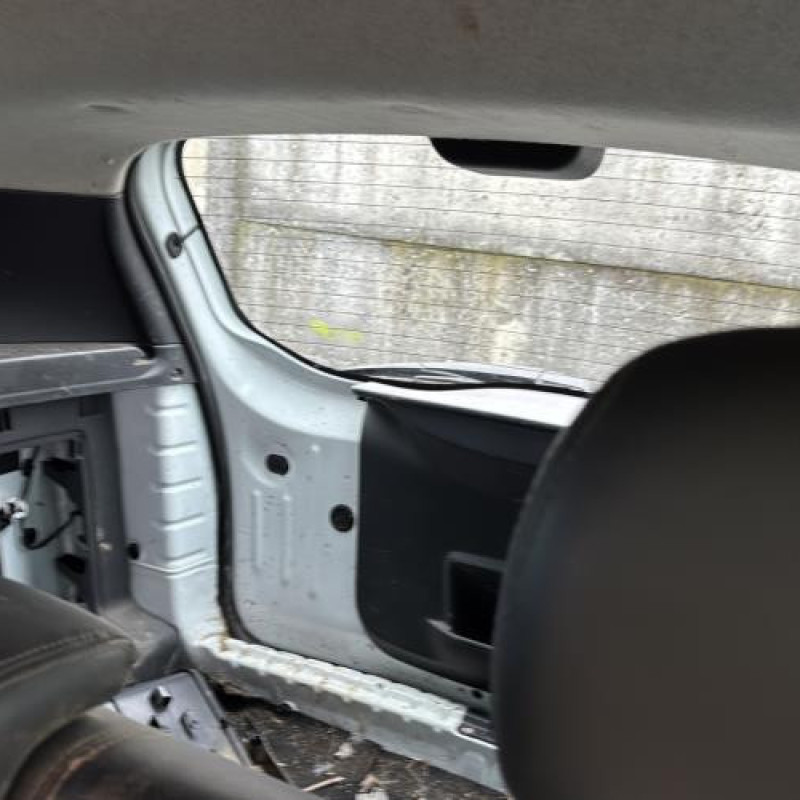 Porte avant gauche DACIA DUSTER 1 Photo n°18