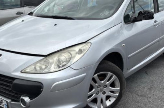 Vitre arriere droit PEUGEOT 307