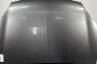 Capot RENAULT CLIO 2 Photo n°1