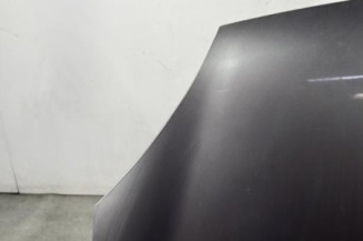 Capot RENAULT CLIO 2