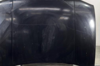 Capot VOLKSWAGEN GOLF 4 Photo n°1