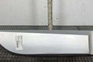 Baguette de porte arriere droite RENAULT SCENIC 3 Photo n°1
