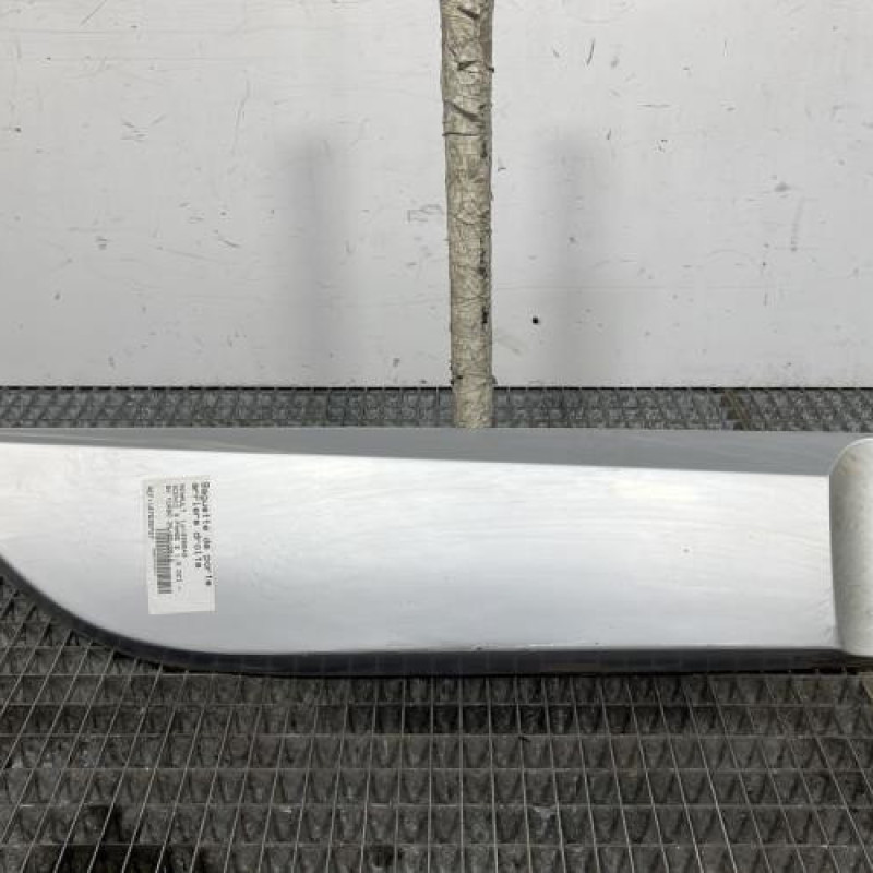 Baguette de porte arriere droite RENAULT SCENIC 3 Photo n°1