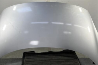 Capot RENAULT SCENIC 3 Photo n°1