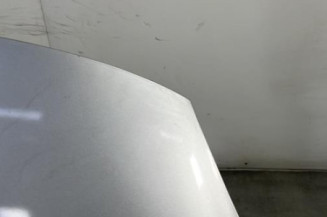 Capot RENAULT SCENIC 3