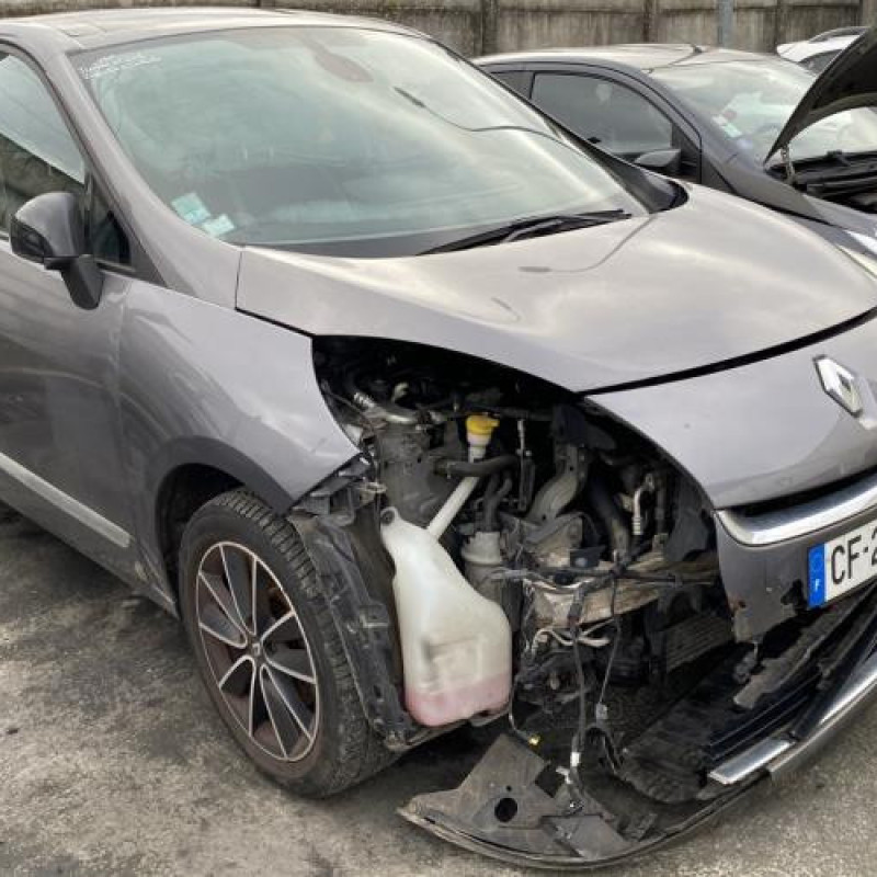 Capot RENAULT SCENIC 3 Photo n°11