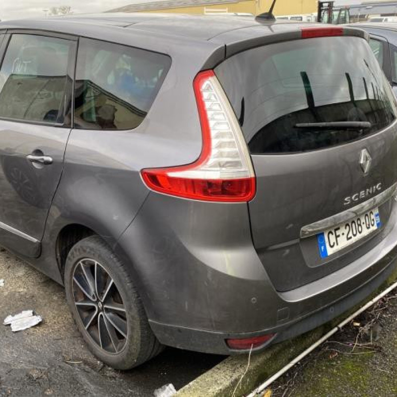 Capot RENAULT SCENIC 3 Photo n°13