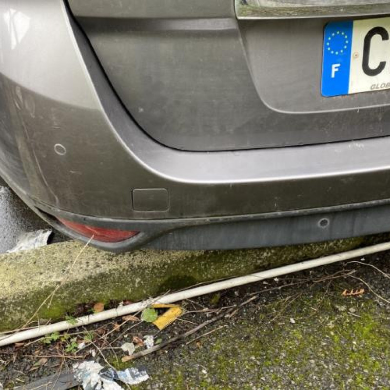 Malle/Hayon arriere RENAULT SCENIC 3 Photo n°16