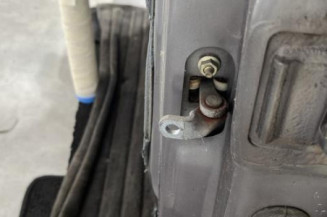 Porte avant gauche RENAULT CLIO 2