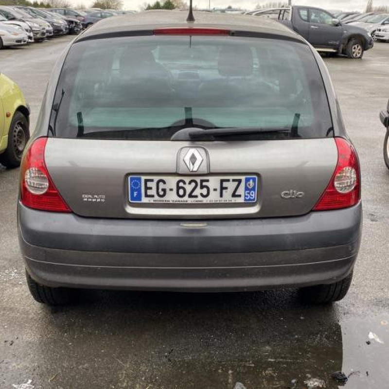 Porte avant gauche RENAULT CLIO 2 Photo n°10