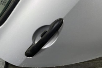 Porte arriere droit RENAULT CLIO 3
