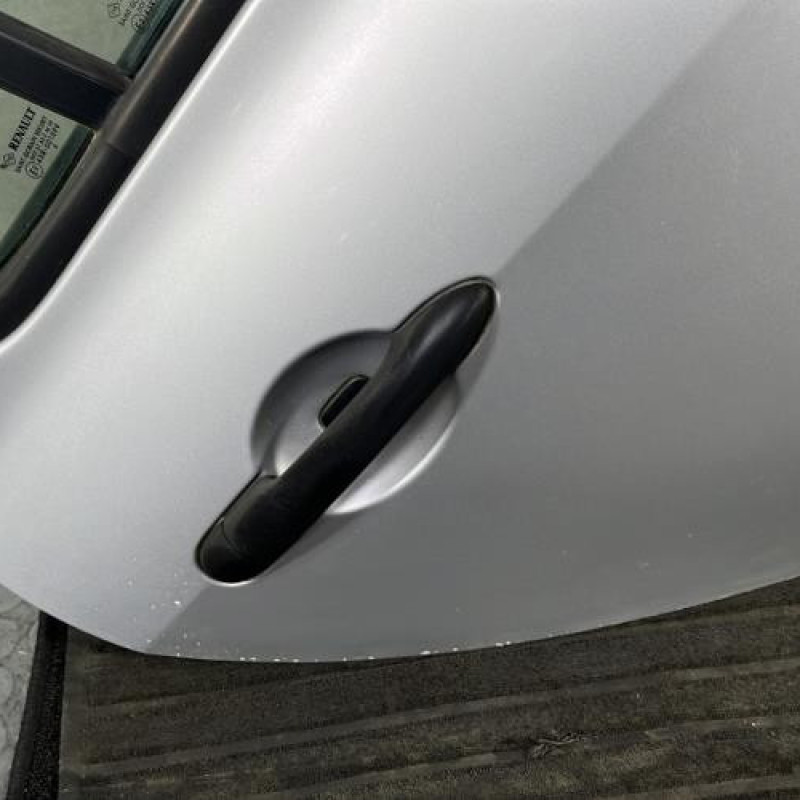 Porte arriere droit RENAULT CLIO 3 Photo n°2