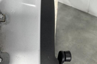 Porte arriere droit RENAULT CLIO 3
