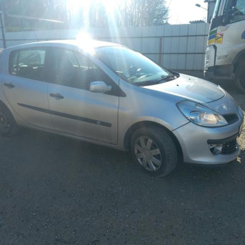Porte arriere droit RENAULT CLIO 3 Photo n°7