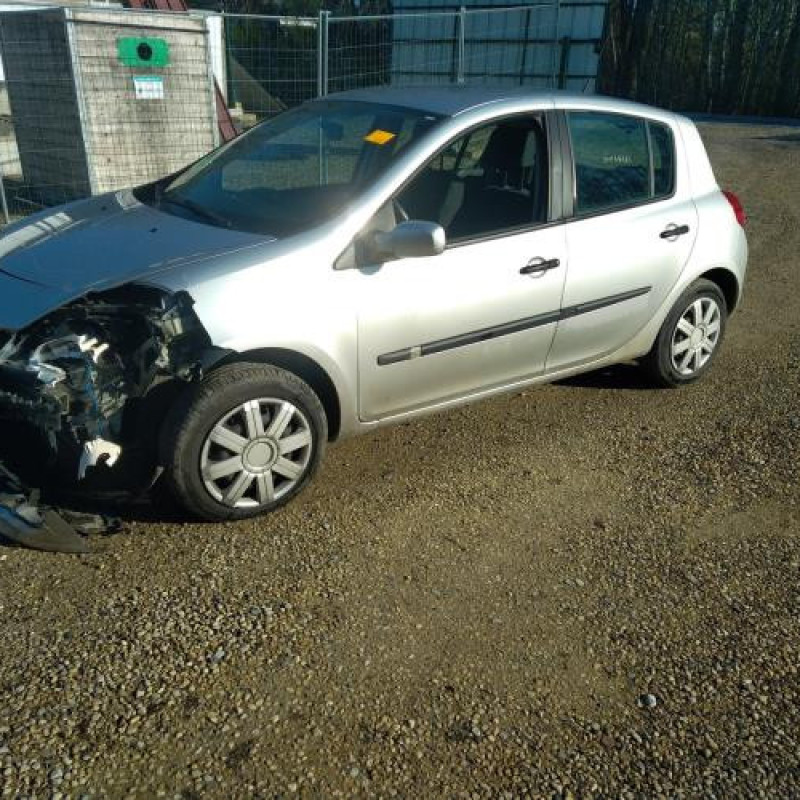 Porte arriere droit RENAULT CLIO 3 Photo n°8