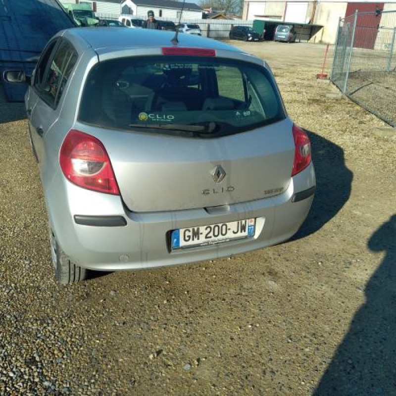 Porte arriere droit RENAULT CLIO 3 Photo n°9