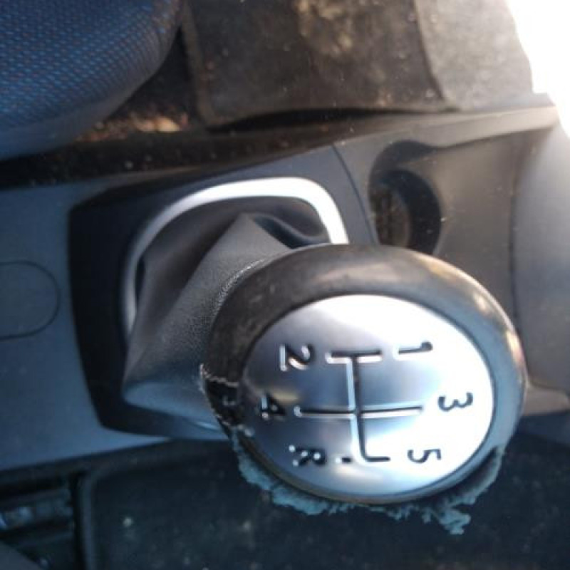 Porte arriere droit RENAULT CLIO 3 Photo n°12