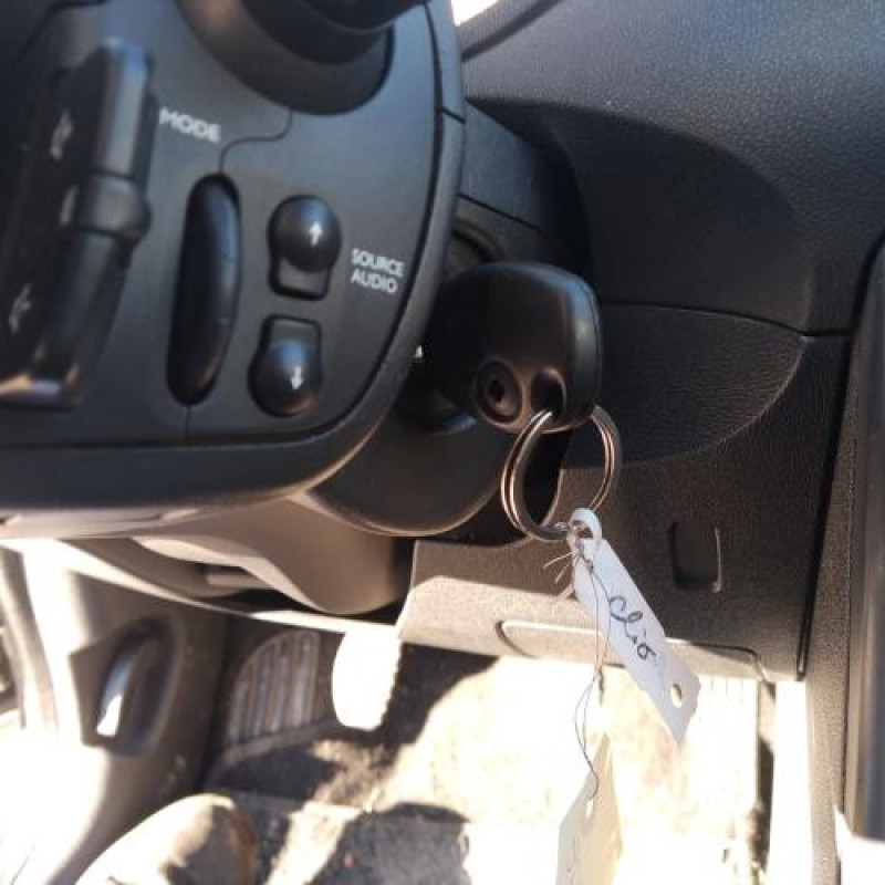Porte arriere droit RENAULT CLIO 3 Photo n°14