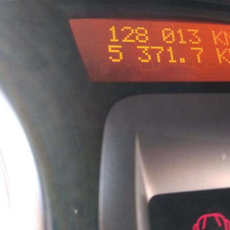 Porte arriere droit RENAULT CLIO 3 Photo n°15