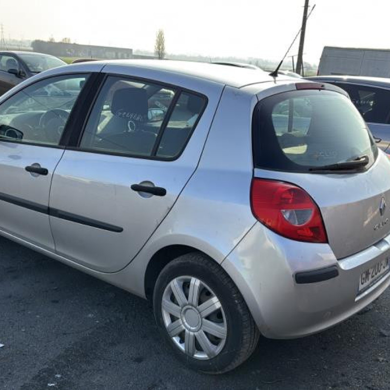 Porte arriere droit RENAULT CLIO 3 Photo n°19