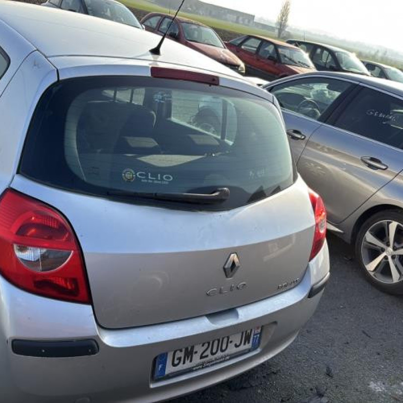 Porte arriere droit RENAULT CLIO 3 Photo n°20