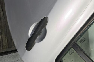Porte arriere gauche RENAULT CLIO 3