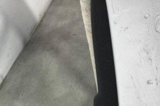 Porte arriere gauche RENAULT CLIO 3