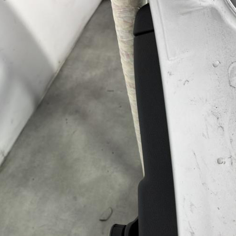 Porte arriere gauche RENAULT CLIO 3 Photo n°3