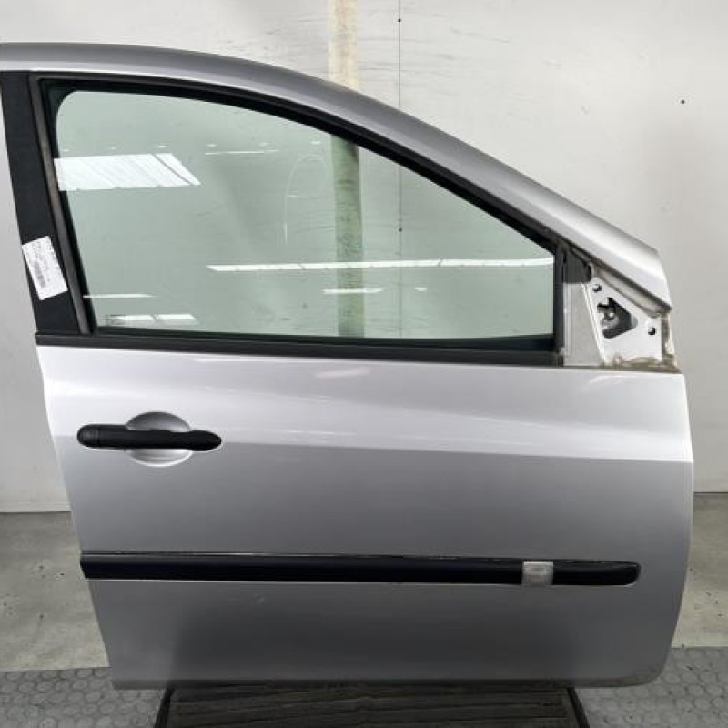 Porte avant droit RENAULT CLIO 3 Photo n°1