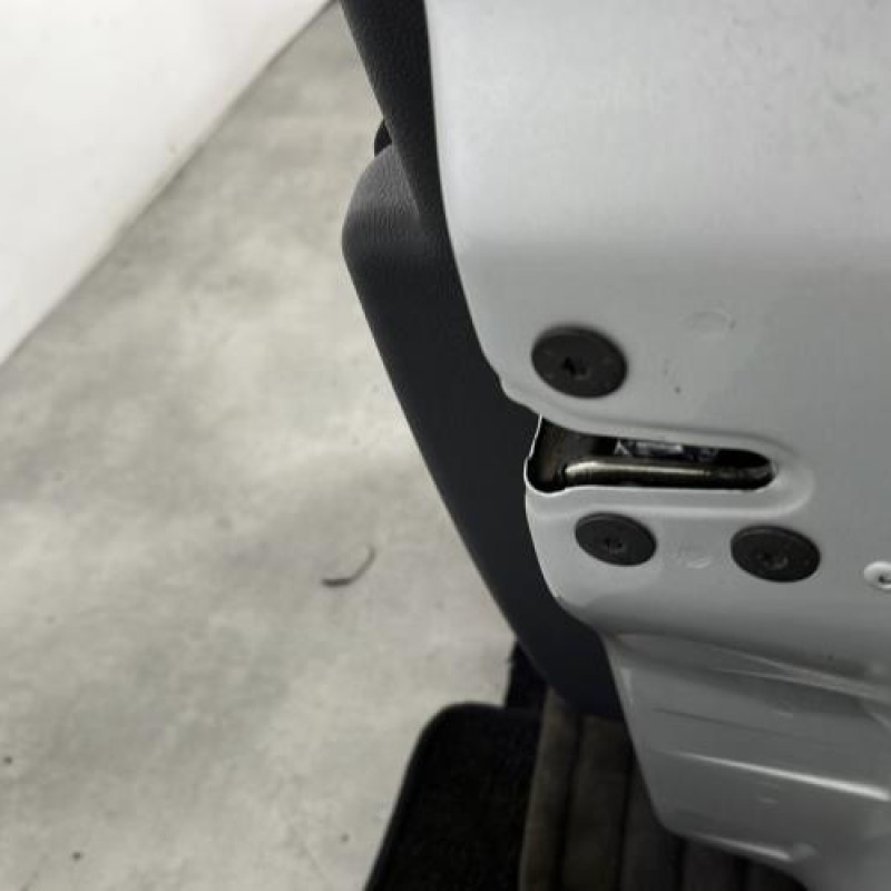 Porte avant droit RENAULT CLIO 3 Photo n°3