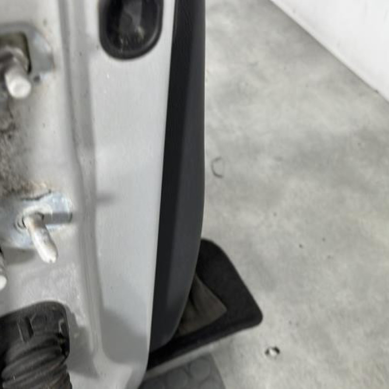 Porte avant droit RENAULT CLIO 3 Photo n°4