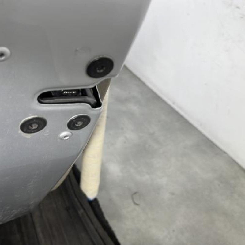 Porte arriere gauche RENAULT SCENIC 3 Photo n°3