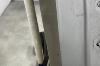 Porte arriere gauche RENAULT SCENIC 3