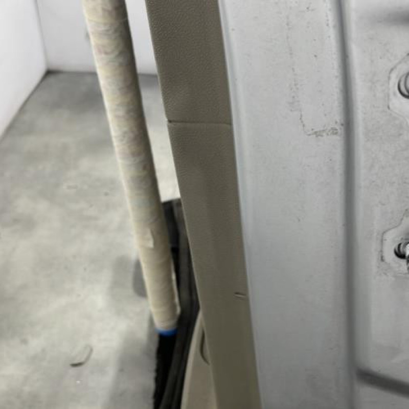 Porte arriere gauche RENAULT SCENIC 3 Photo n°4