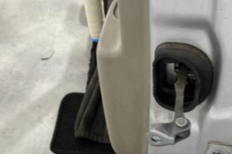 Porte arriere gauche RENAULT SCENIC 3
