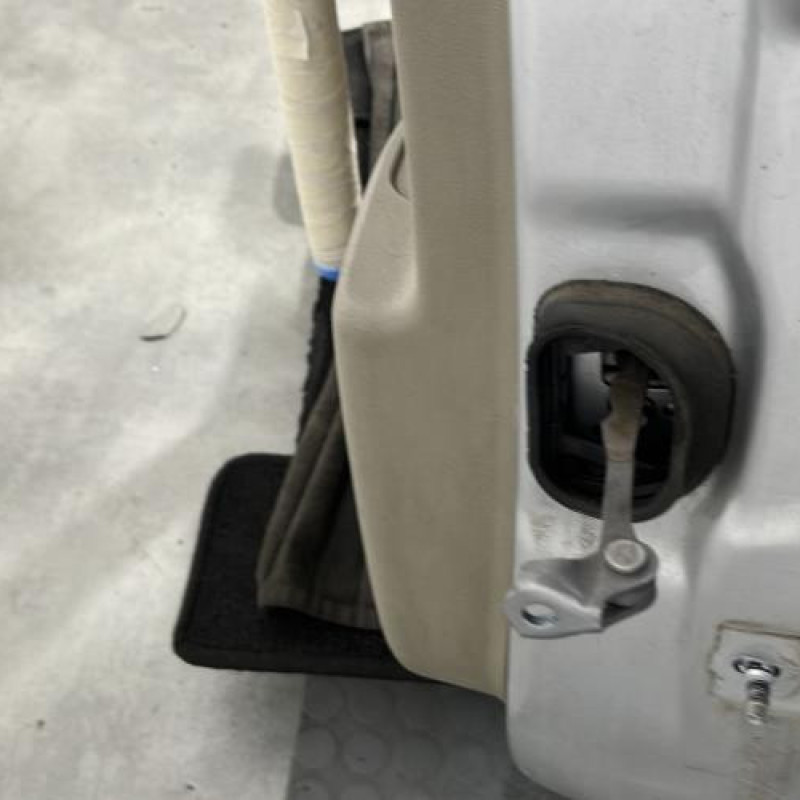 Porte arriere gauche RENAULT SCENIC 3 Photo n°5