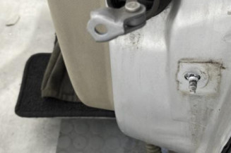 Porte arriere gauche RENAULT SCENIC 3