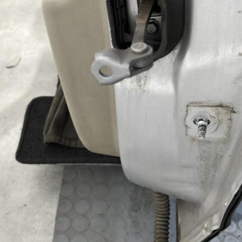 Porte arriere gauche RENAULT SCENIC 3 Photo n°6